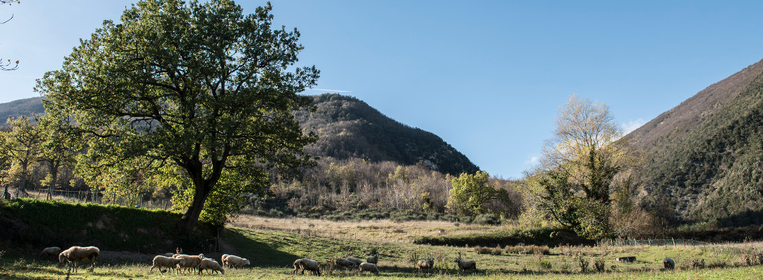 Panorama sulla Valle di Ussita