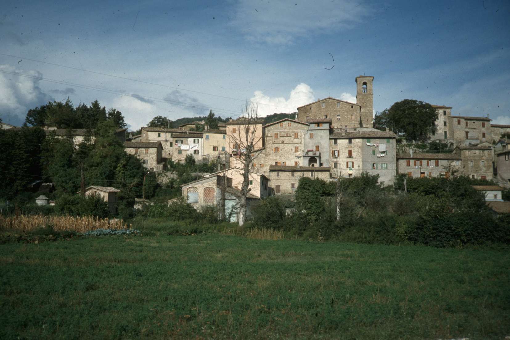 N2 Coltivatori Di Speranze