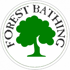 suitable part for Forest Bathing experience