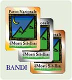 Logo Emblema