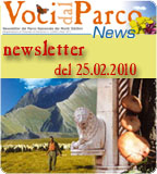 newsletter 25.02.2010