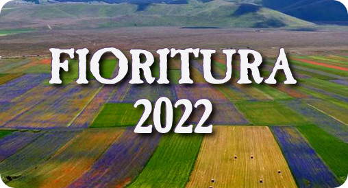 Fioritura 2022 Castelluccio di Norcia