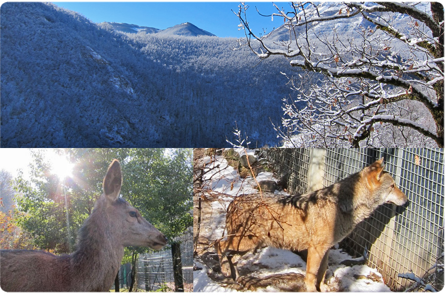Parco Nazionale dei Monti Sibillini