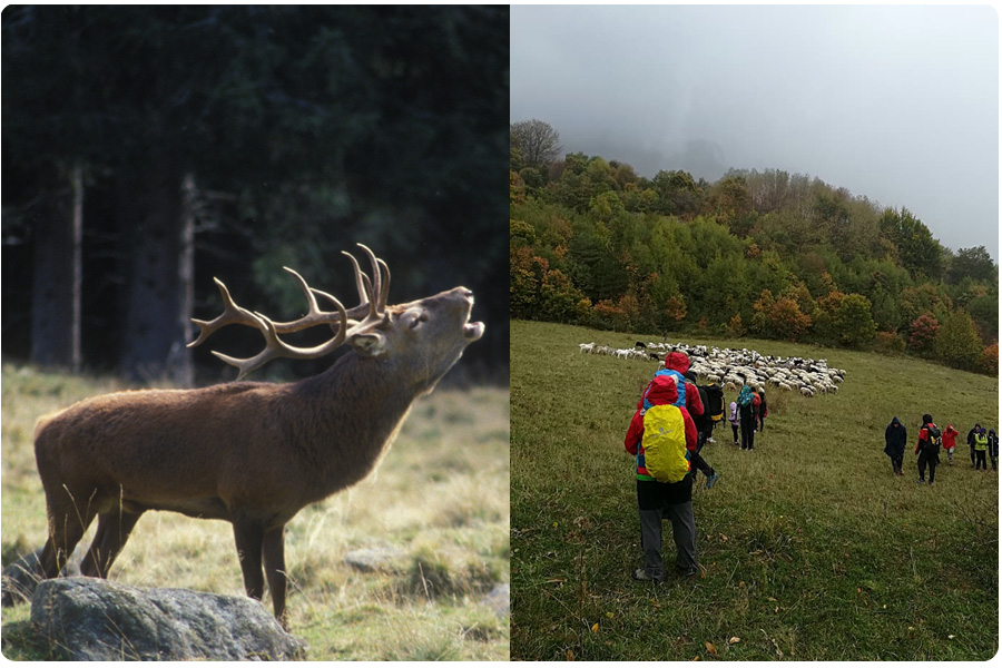 Parco Nazionale dei Monti Sibillini
