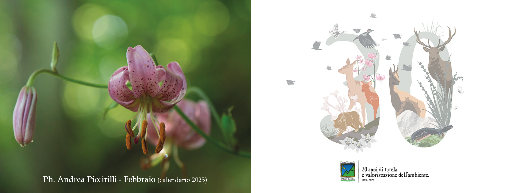 FOTO DEL CALENDARIO DEL PARCO - MESE DI FEBBRAIO