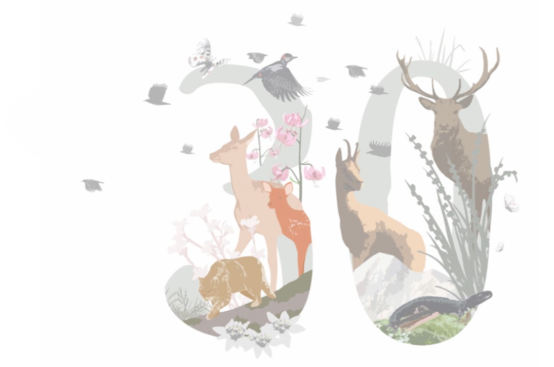 LOGO 30 ANNI DI PARCO