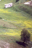 panorama del percorso