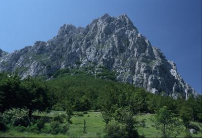 foto Area Camper Pieve 