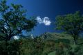 thumb_1558.jpg