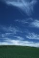 thumb_2933.jpg