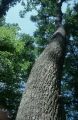 thumb_3399.jpg
