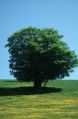 thumb_3481.jpg