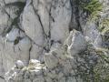 thumb_4316.jpg