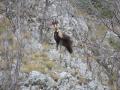 thumb_5015.jpg