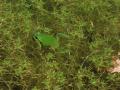 thumb_5078.jpg