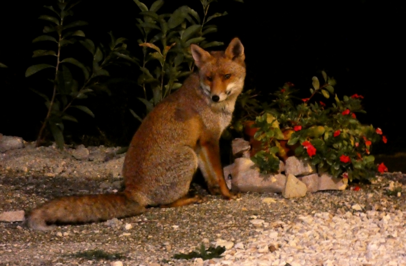 Cascina dell'Orso
