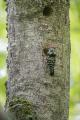 thumb_6131.jpg