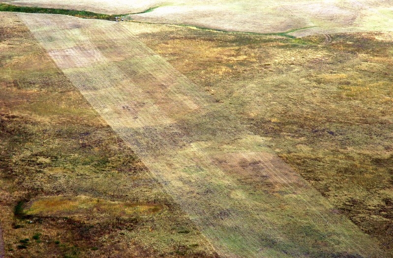 Sibyllin Texture n.7
