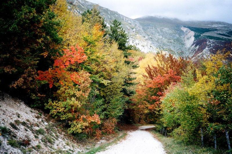 Casali di Ussita: patchwork