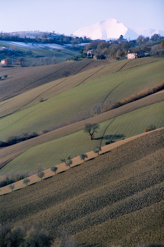 Priora innevata - febbraio