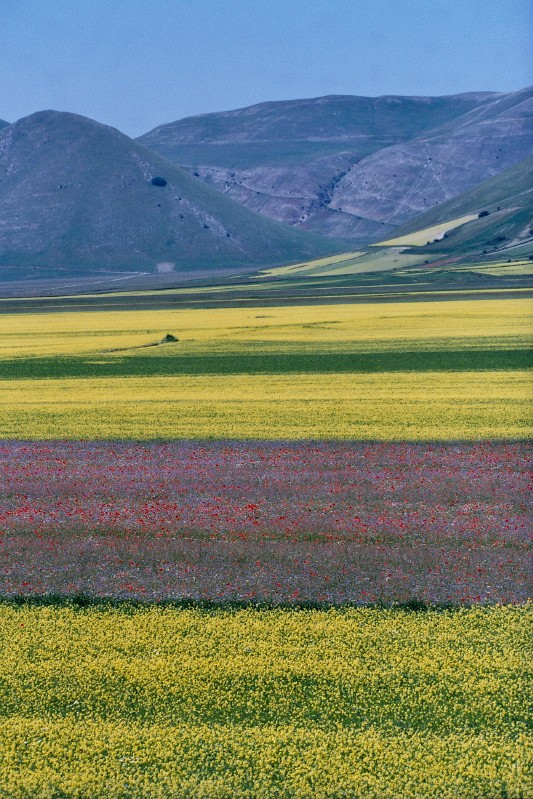 Impressioni di giugno