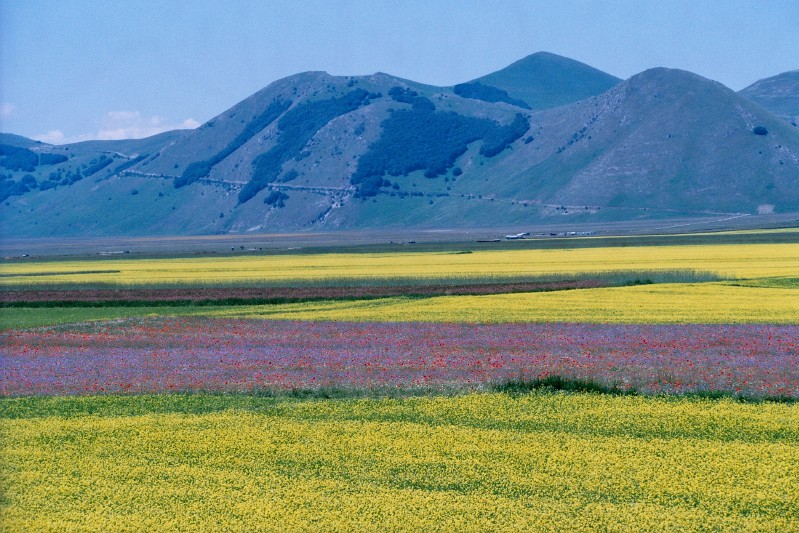 Esplode il colore a giugno