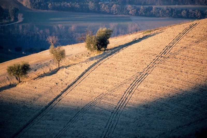 Verso il tramonto