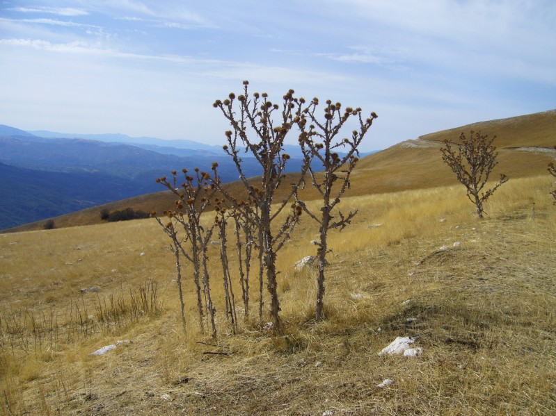 L'estate � finita