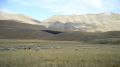 Pascoli di Castelluccio