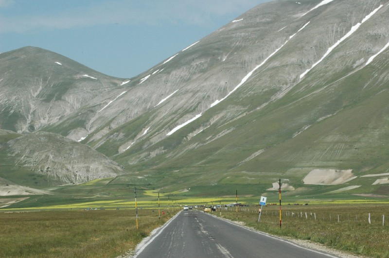 Vettore
