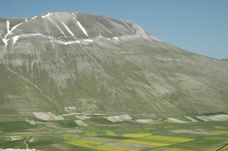 Vettore