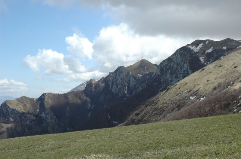 Montioli