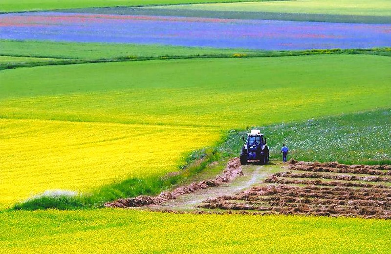 Agricoltrura moderna