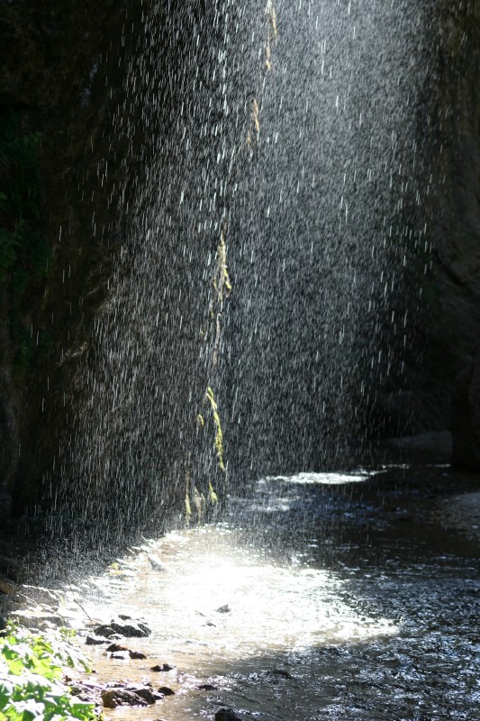 Stelle di luce