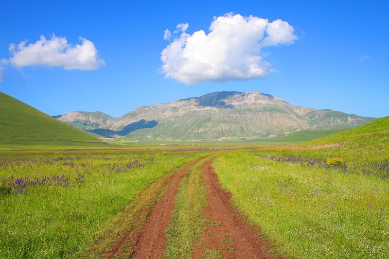 Castelluccio- fioritura