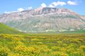 Castelluccio- fioritura
