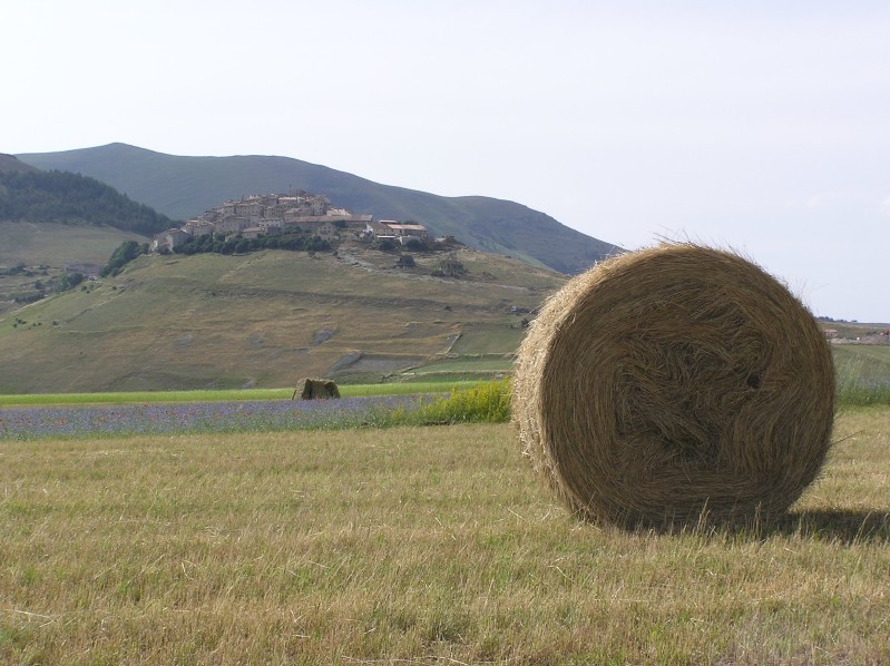 Castelluccio