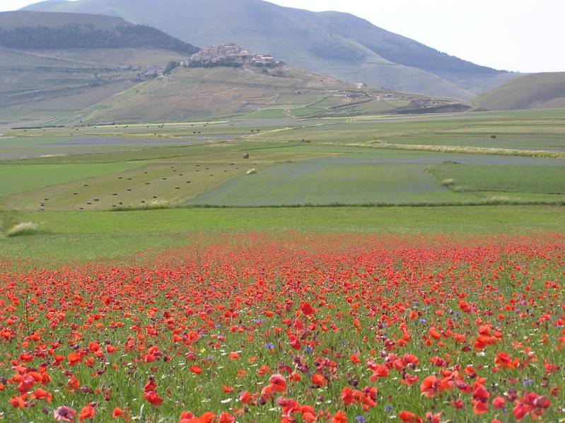 Castelluccio