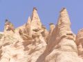 Lame Rosse