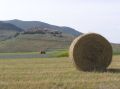 Castelluccio