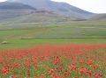 Castelluccio