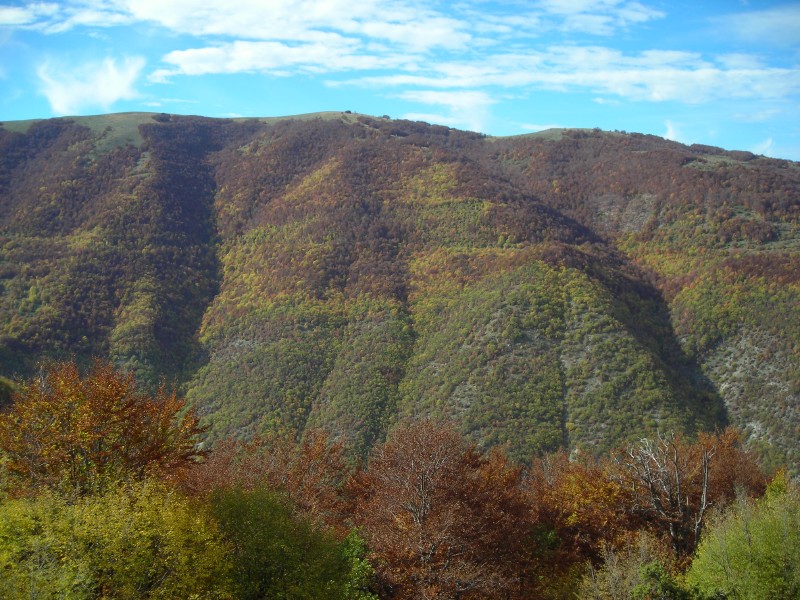 Valle di Rapegna