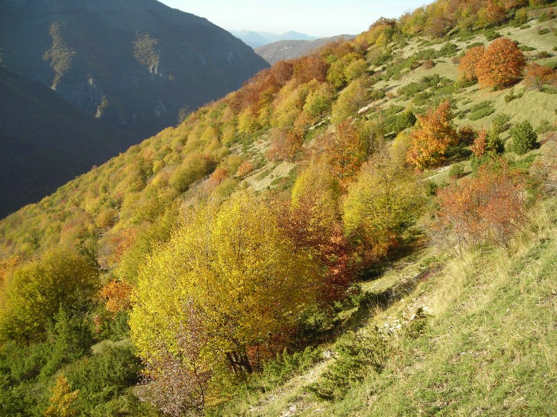 Valle di Rapegna