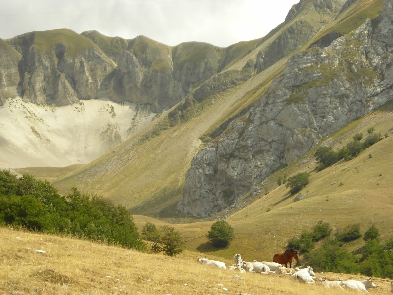 Val di Bove