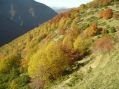 Valle di Rapegna