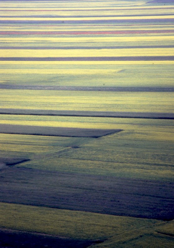 Piani di Castelluccio