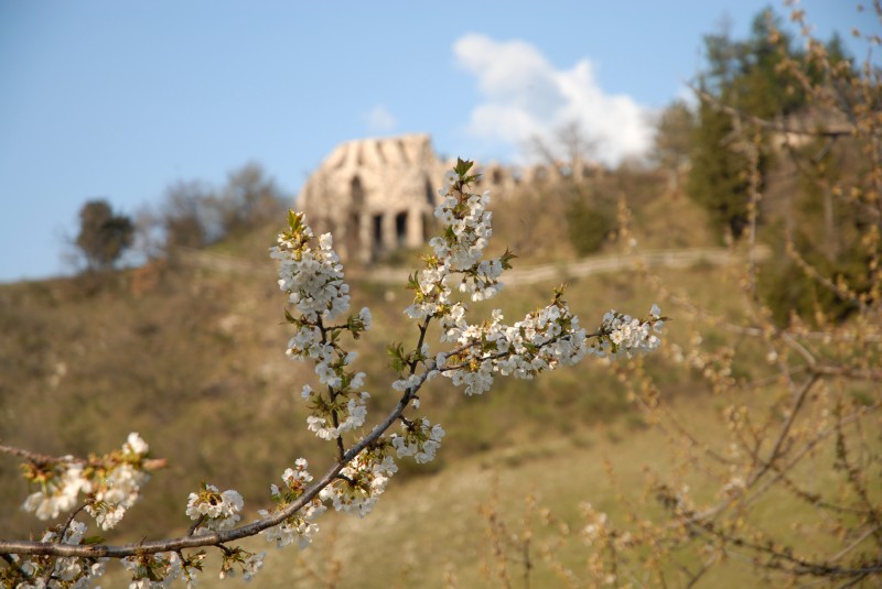 Strepitosi ruderi