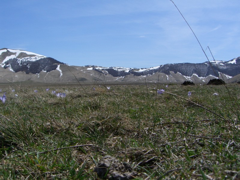 Piani di Castelluccio