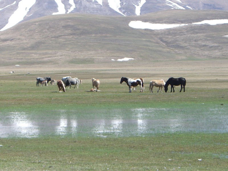 Piani di Castelluccio