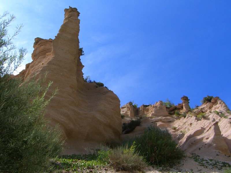 Lame Rosse